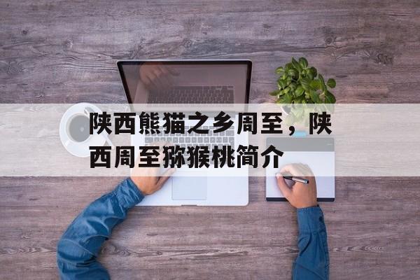 陕西熊猫之乡周至，陕西周至猕猴桃简介-第1张图片-