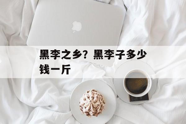 黑李之乡？黑李子多少钱一斤-第1张图片-