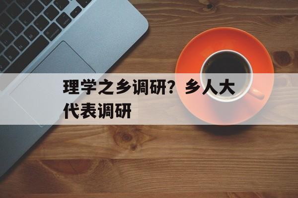 理学之乡调研？乡人大代表调研-第1张图片-