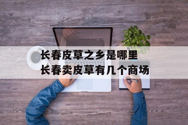 长春皮草之乡是哪里 长春卖皮草有几个商场-第1张图片-