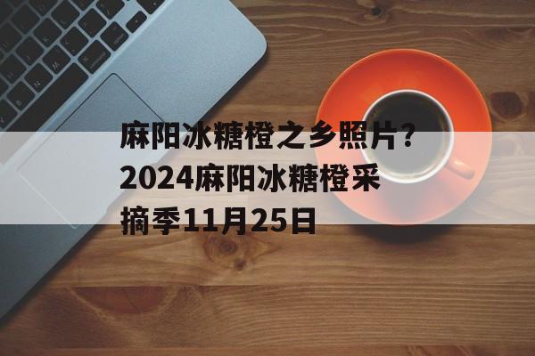 麻阳冰糖橙之乡照片？2024麻阳冰糖橙采摘季11月25日-第1张图片-