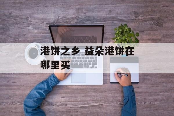 港饼之乡 益朵港饼在哪里买-第1张图片-