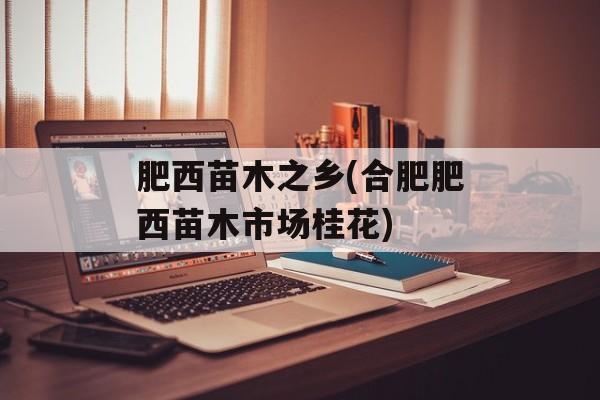 肥西苗木之乡(合肥肥西苗木市场桂花)-第1张图片-