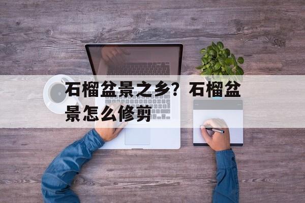 石榴盆景之乡？石榴盆景怎么修剪-第1张图片-