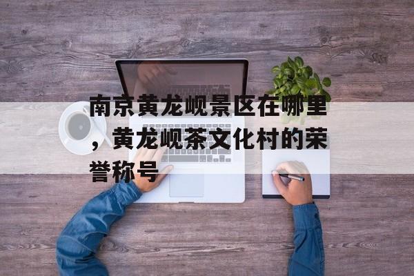 南京黄龙岘景区在哪里，黄龙岘茶文化村的荣誉称号-第1张图片-