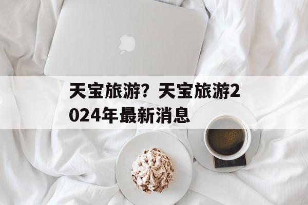 天宝旅游？天宝旅游2024年最新消息-第1张图片-