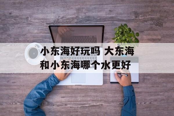 小东海好玩吗 大东海和小东海哪个水更好-第1张图片-
