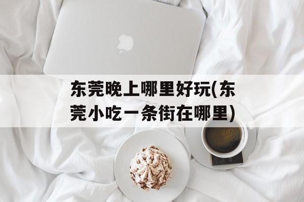 东莞晚上哪里好玩(东莞小吃一条街在哪里)-第1张图片-