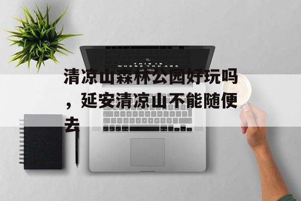 清凉山森林公园好玩吗，延安清凉山不能随便去-第1张图片-